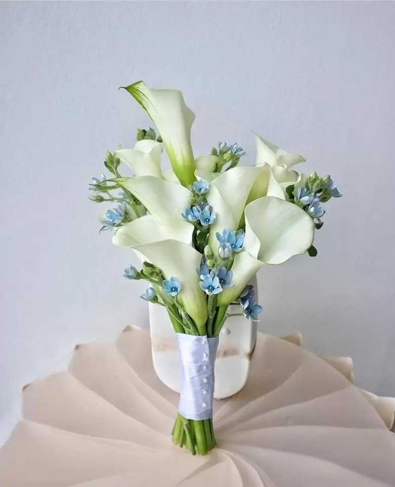 Hoa cưới Calla lily