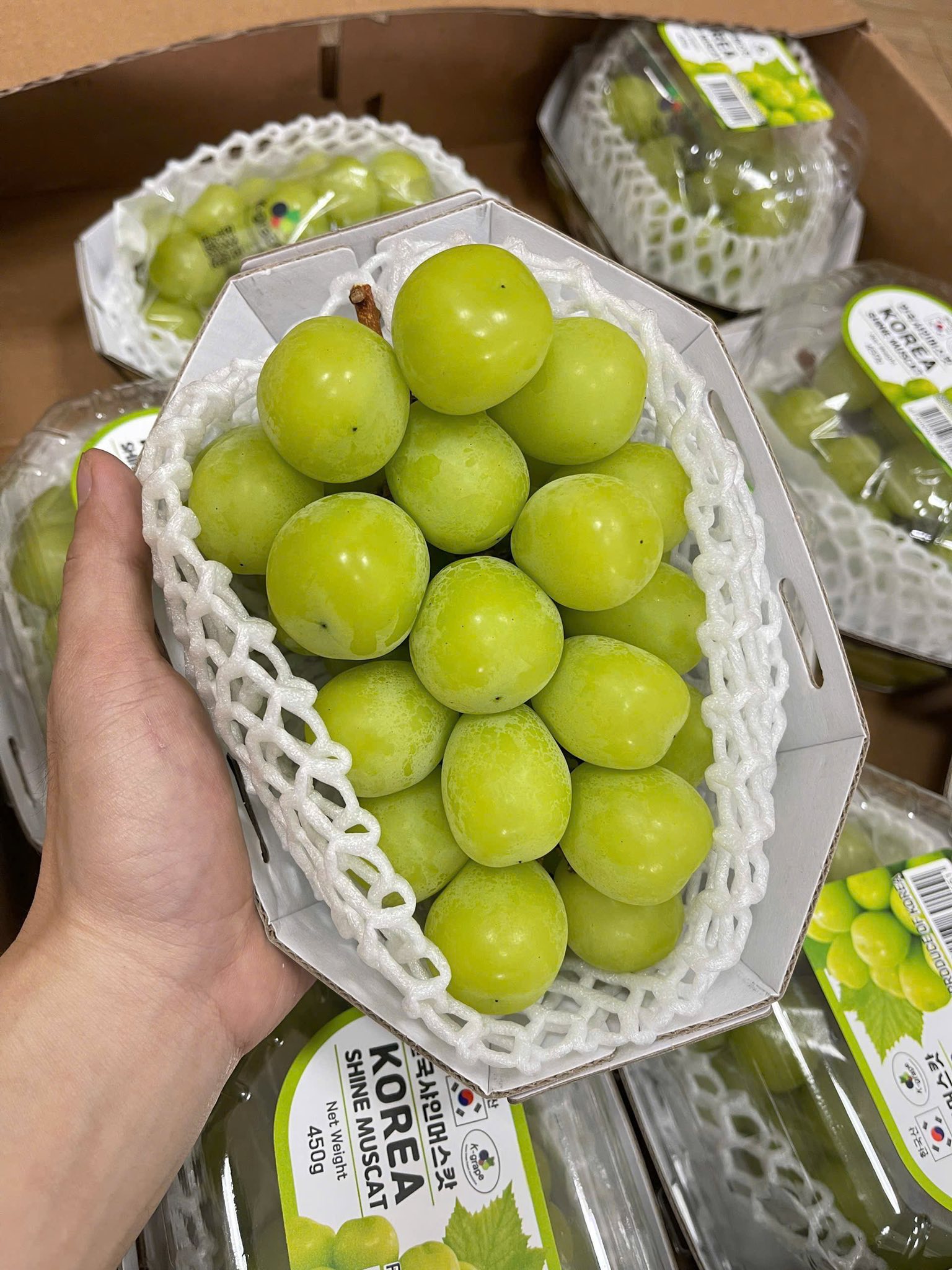 TRÁI CÂY NHẬP KHẨU