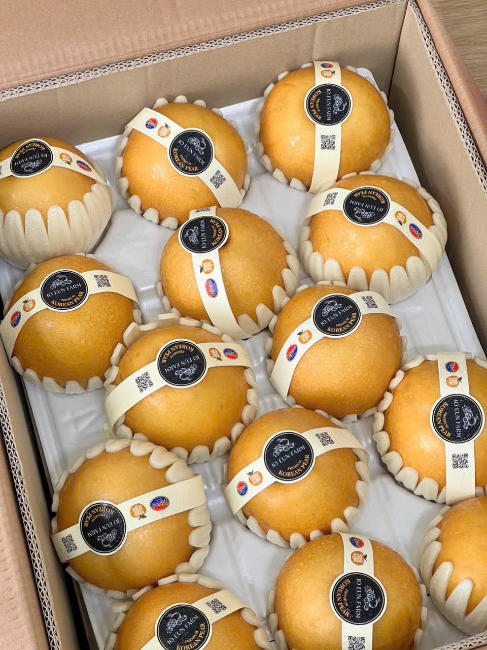 Trái Cây Nhập Khẩu