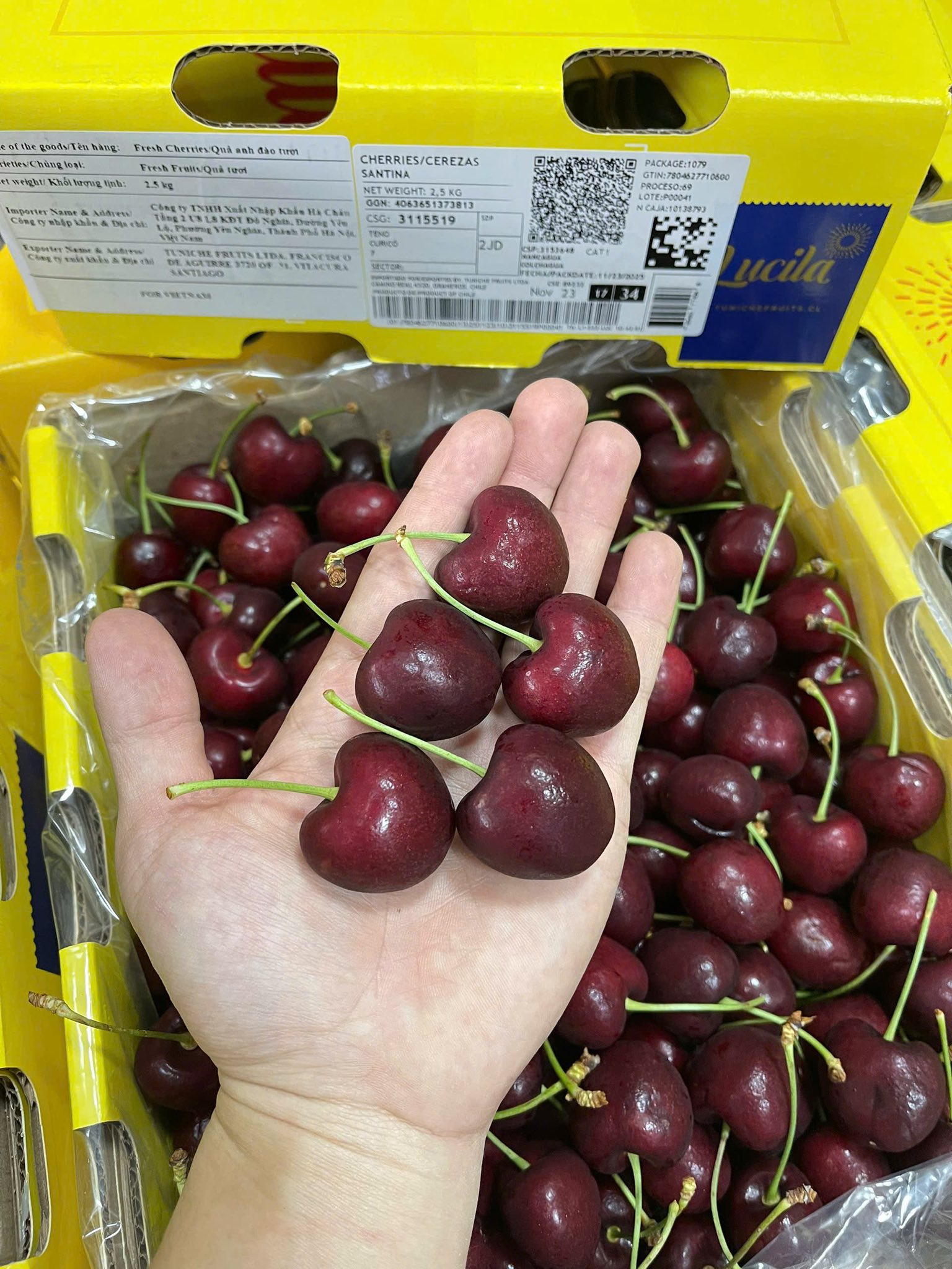 Trái Cây Nhập Khẩu