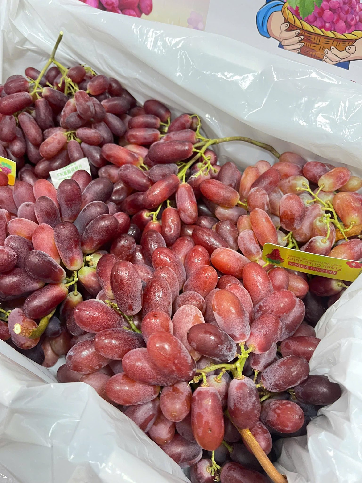 Trái Cây Nhập Khẩu