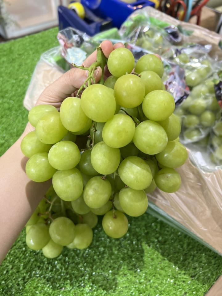 Trái Cây Nhập Khẩu